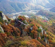 [속보]대둔산서 100m 아래로 추락한 30대 야영객 ‘극적 구조’