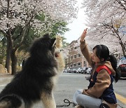 대경대, 오는 12일 '제1회 반려견 피크닉 페스티벌' 개최