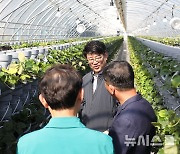 농진청, 식물 공기청정기 국내 확산과 수출 지원