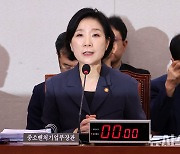 티메프 판매자들 "피해 구제 체감 못해"…국감장서 분통