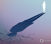 "정신응급 대처 인프라 열악…지자체 34% 전담인력 없어"