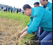 해남군 "벼멸구 피해 농업재해 인정 깊은 감사"