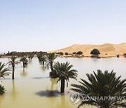 Morocco Desert Rain