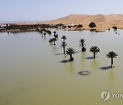 Morocco Desert Rain