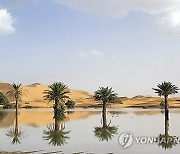 Morocco Desert Rain