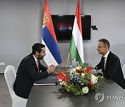 HUNGARY SERBIA DIPLOMACY ECONOMY