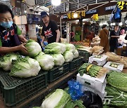 '배추가격에 들었다 놨다'