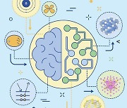 KAIST, 화학 개념 학습하고 새 물질 설계 등 가능한 AI 개발