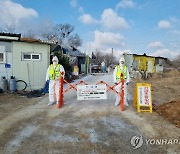 군산 야생조류 분변서 고병원성 AI 확진…위기경보 `심각` 격상