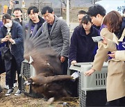 효성, ESG 경영 강화…전사적 친환경 사업, 협력사 교육·컨설팅 지원해 '동반 녹색성장'