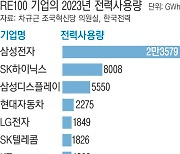 RE100 기업 수요 못 따라가는 재생에너지