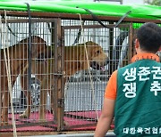 [단독] 권익위 애매한 답변에… ‘개식용 금지법’ 국제기구 상금 포기