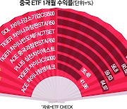 “한달 수익률 60% 미쳤다”…증시 힘준다는 ‘이 나라’ ETF 믿어도 되나