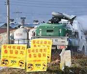 전북 만경강서 AI 확진 야생조류 확인...위기단계 '심각' 격상