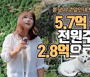 [영상] 분당 옆 2층 전원주택 2억대로 반토막…도대체 무슨일이? [부동산360]