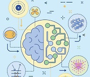 “소재 물성 예측 오류 40%↓” KAIST, 신개념 ‘화학 AI’ 개발 성공