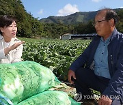 송미령 장관, 10월 중·하순 배추 주산지 단양군 출하 동향 점검