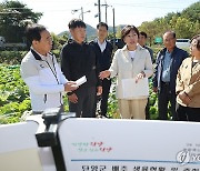 송미령 장관, 10월 중·하순 배추 주산지 단양군 출하 동향 점검