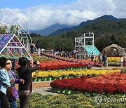 내설악 품은 가을꽃축제