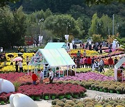 내설악 품은 가을꽃축제