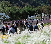 북적이는 인제 가을꽃축제장