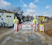 군산 야생조류 분변서 고병원성 AI…위기경보 '심각'