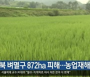 [여기는 안동] 경북 벼멸구 872ha 피해…농업재해 인정 외