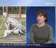 [이슈대담] ‘창원 조각비엔날레’ 제대로 즐기는 법