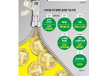 통화주권 위협하는 스테이블 코인…개도국선 화폐 대체도