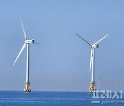 한림해상풍력 발전사업, 국내 최대 무색...무더기 현행법 위반