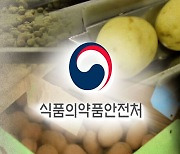 [단독] 미국산 'GMO 감자' 수입 안전성 심사 중