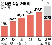 "e그로서리 판 바꾸자"···'롯데마트제타' 내년 출격