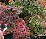 단풍보러 떠난 가을 산행 '안전주의보'…"지정 등산로 이용해야"