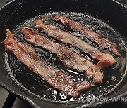 Election 2024 Bacon Prices