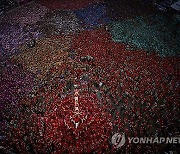 APTOPIX Spain Catalonia Human Tower Photo Gallery