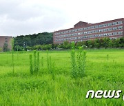 '학생수 급감' 20년 뒤면 수도권·국립대 빼곤 문 닫을 지경