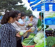 "흐뭇한 작황"…北 함경남도 연포온실농장 증산 선전