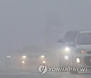 [오늘 날씨] 일교차 최대 15도·주말까지 '맑음'…가을 아침, 안개 유독 심한 이유