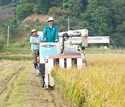 광주시, 친환경 광주 쌀 벼 베기 시연