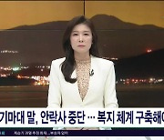 "기마대 말, 안락사 중단...복지 체계  구축해야"