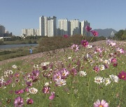 맑고 일교차 큰 날씨..짙은 안개 주의