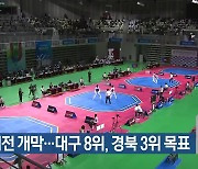 전국체전 개막…대구 8위, 경북 3위 목표