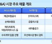 시계제로 금융딜...살 길 찾기 하세월