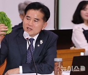 국감에 나타난 상추