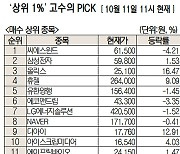 [주식 초고수는 지금] ‘풍력타워 세계 1위’ 씨에스윈드 순매수도 1위