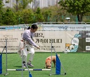 "세계서 가장 외로운 나라 한국"…산부인과 사라지고, 동물병원 들어섰다