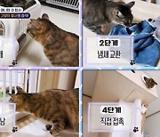 은지원, “슬픔 숨길 수 없어…3일 울었다” 펫로스 증후군 고백 (동훌륭)