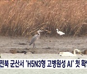 군산 야생조류 분변서 국내 첫 H5N3형 '고병원성 AI' 확인