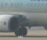 5년여간 '버드 스트라이크' 623마리..공항 주변 개발에 증가세