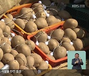 ‘춘천 감자페스타’ 개막…“먹을거리 특화 추진”